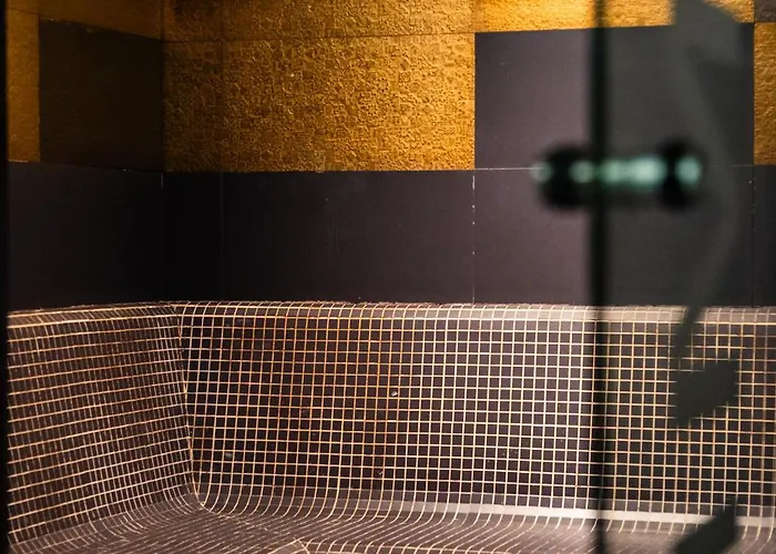 Montana Plein Sud מלון דירות 5*