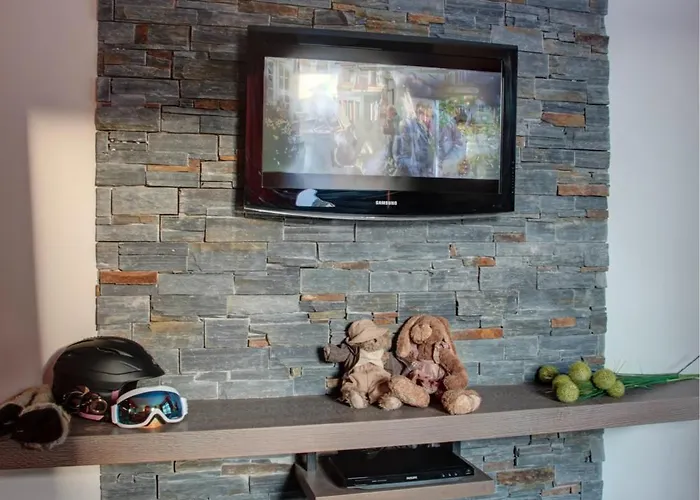 Aparthotel Montana Plein Sud 5*